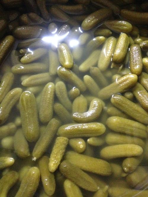 Ecetes Csemege Uborka Apró 500g