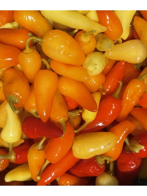 Ecetes Csilipaprika Erős